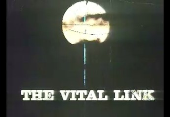 The Vital Link